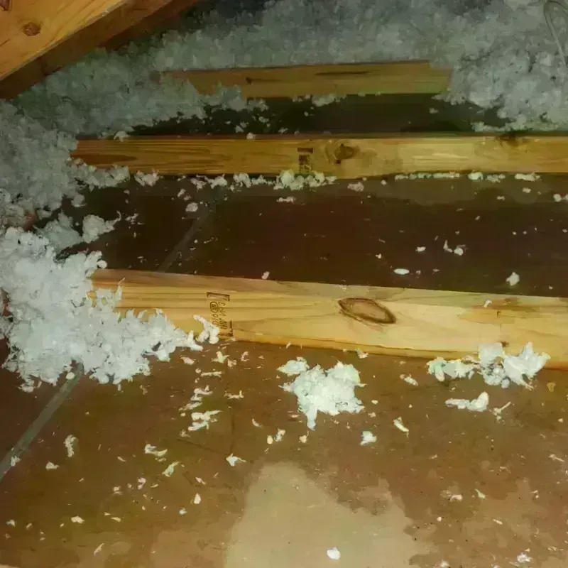 Attic Water Damage in Burns Harbor, IN