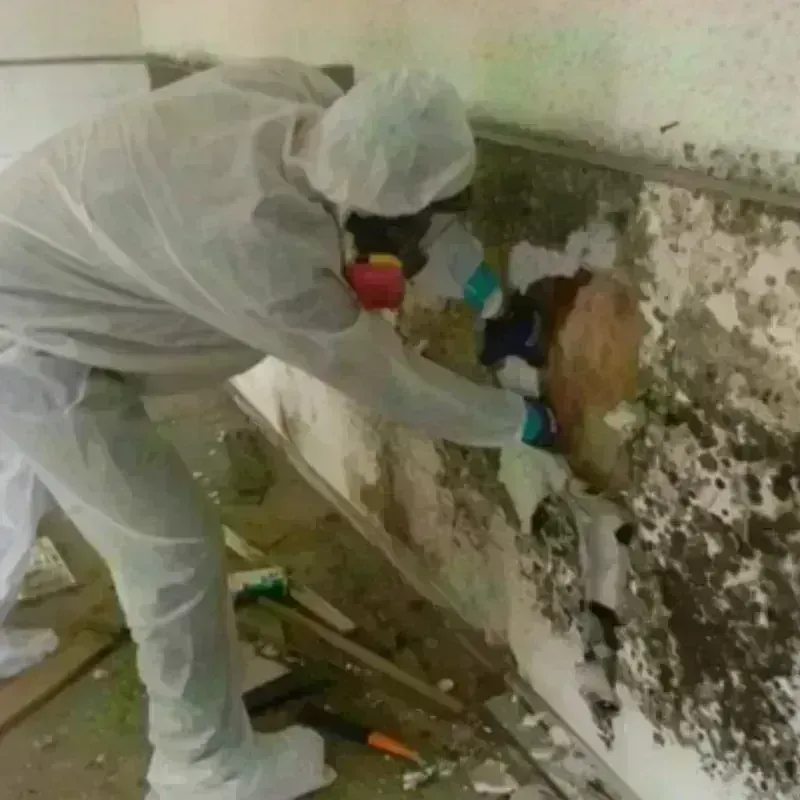 Mold Remediation and Removal in Burns Harbor, IN